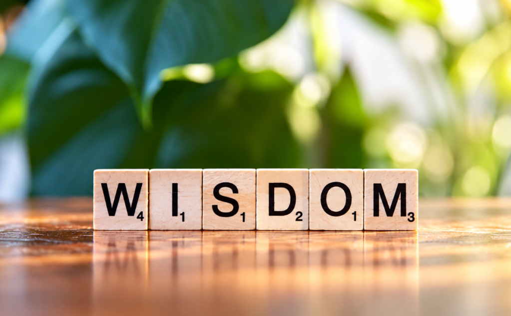 Wisdom